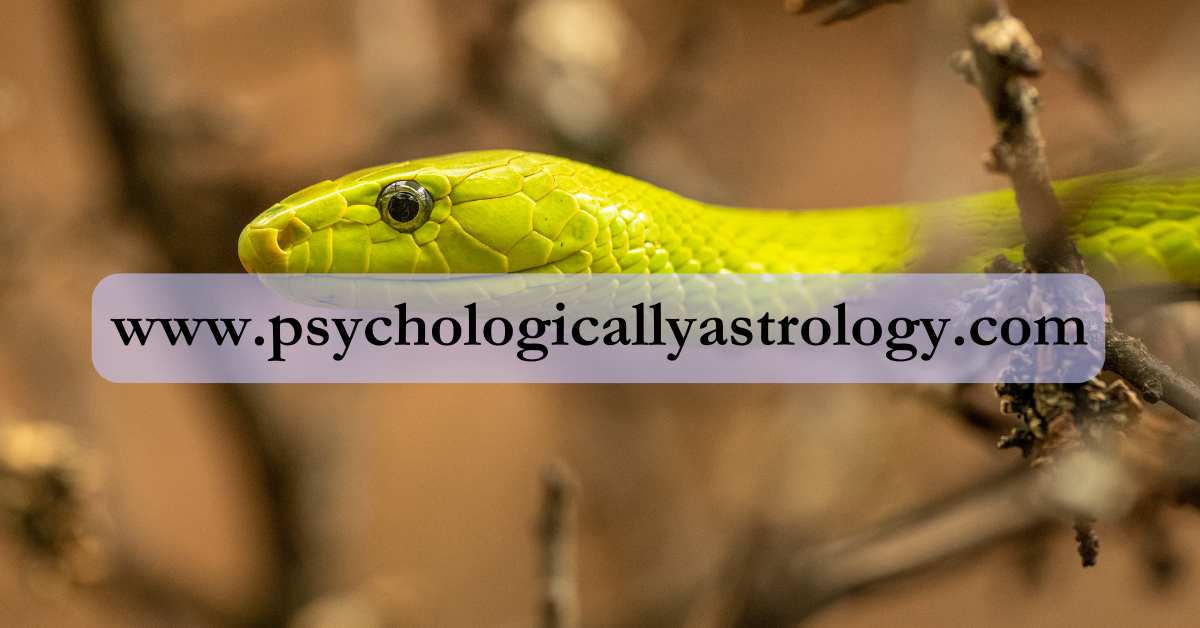 Shapit dosh 2023 and Venus in Aries