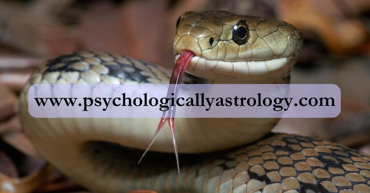 Predictions for Rahu Ketu transit in Pisces and Virgo