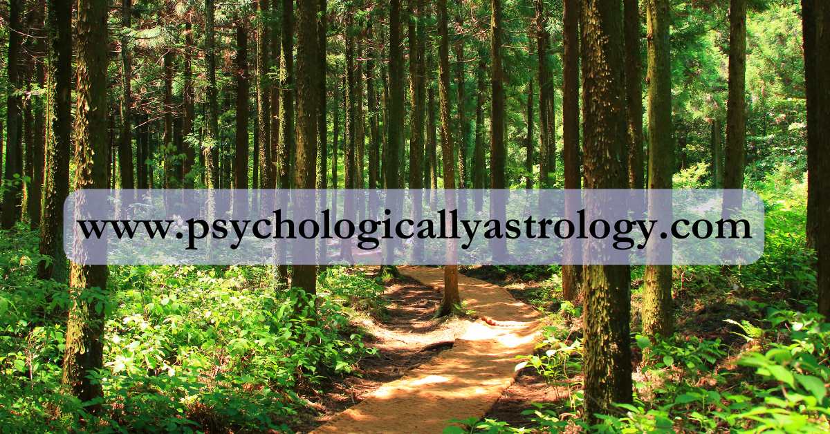 Dharmic lifestyle and the forests