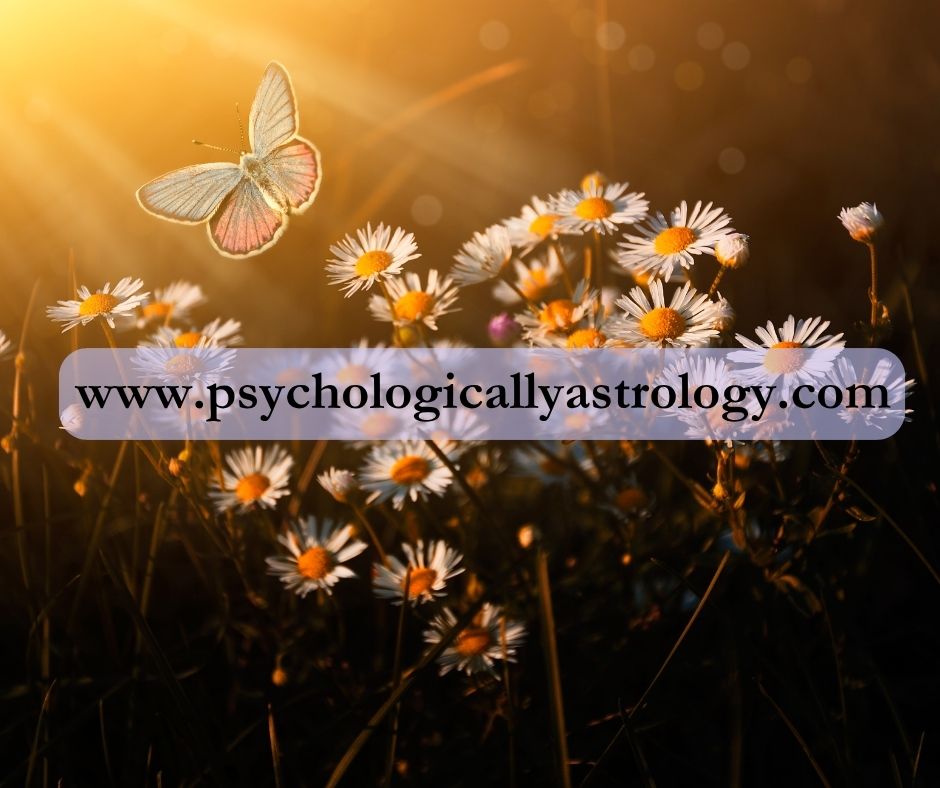 The 27 Lunar Mansions, Nakshatra