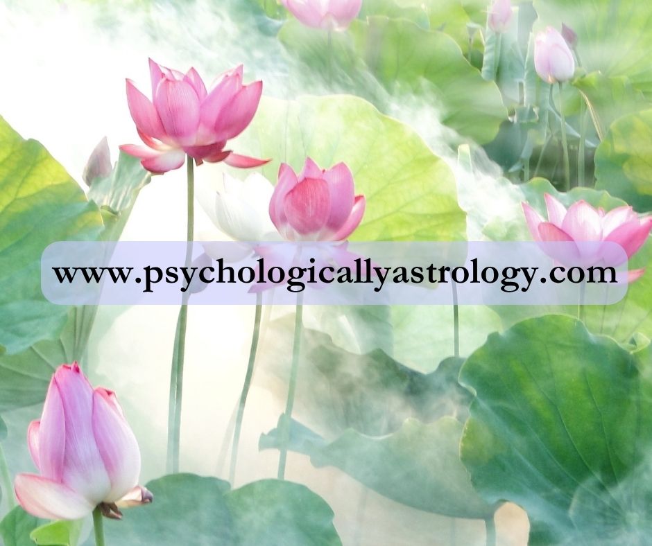 Effect of retrograde planets Jupiter